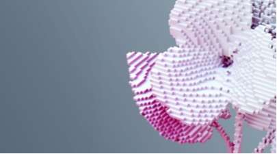 immagine di un fiore nel lato destro