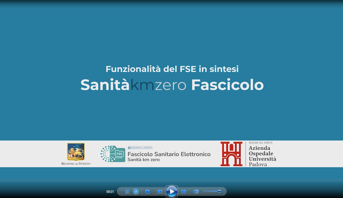 Copertina video tutorial sulle funzioni FSE in sintesi