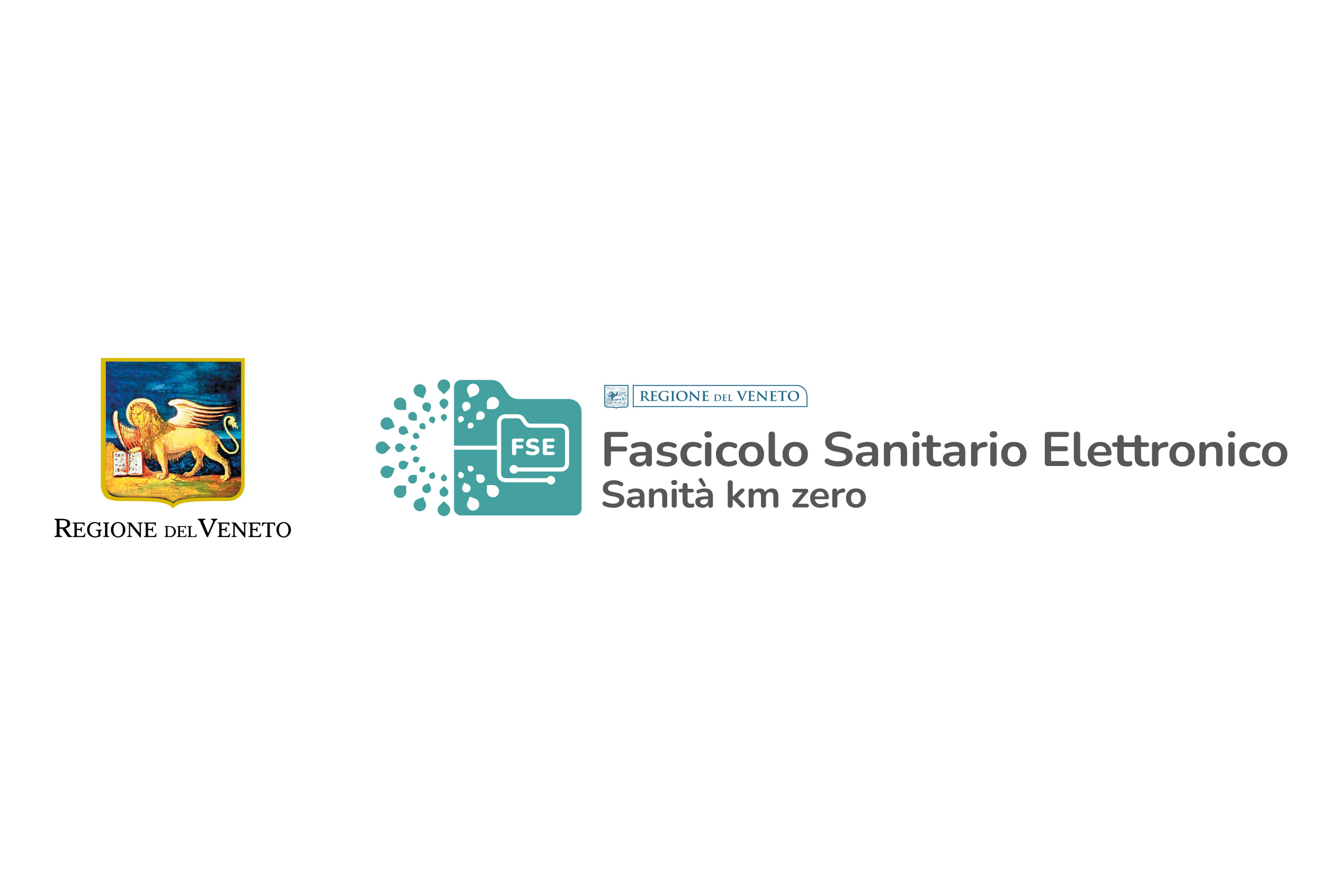 Logo FESr Veneto
