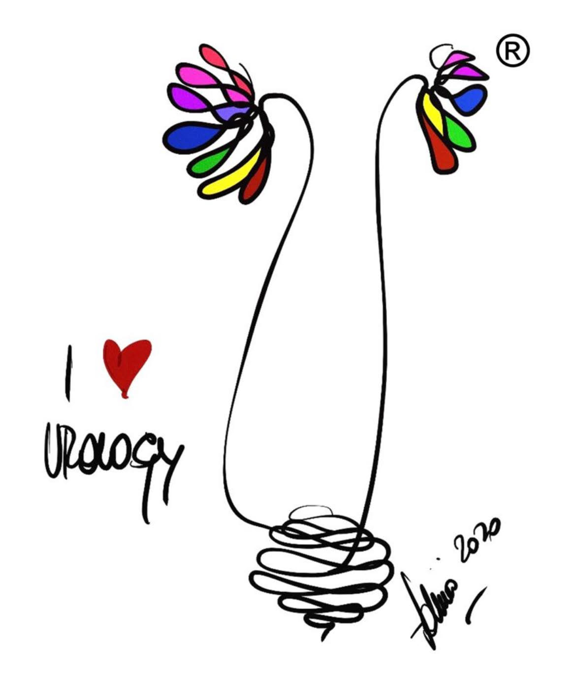 Grafica con reni e vescica stilizzati