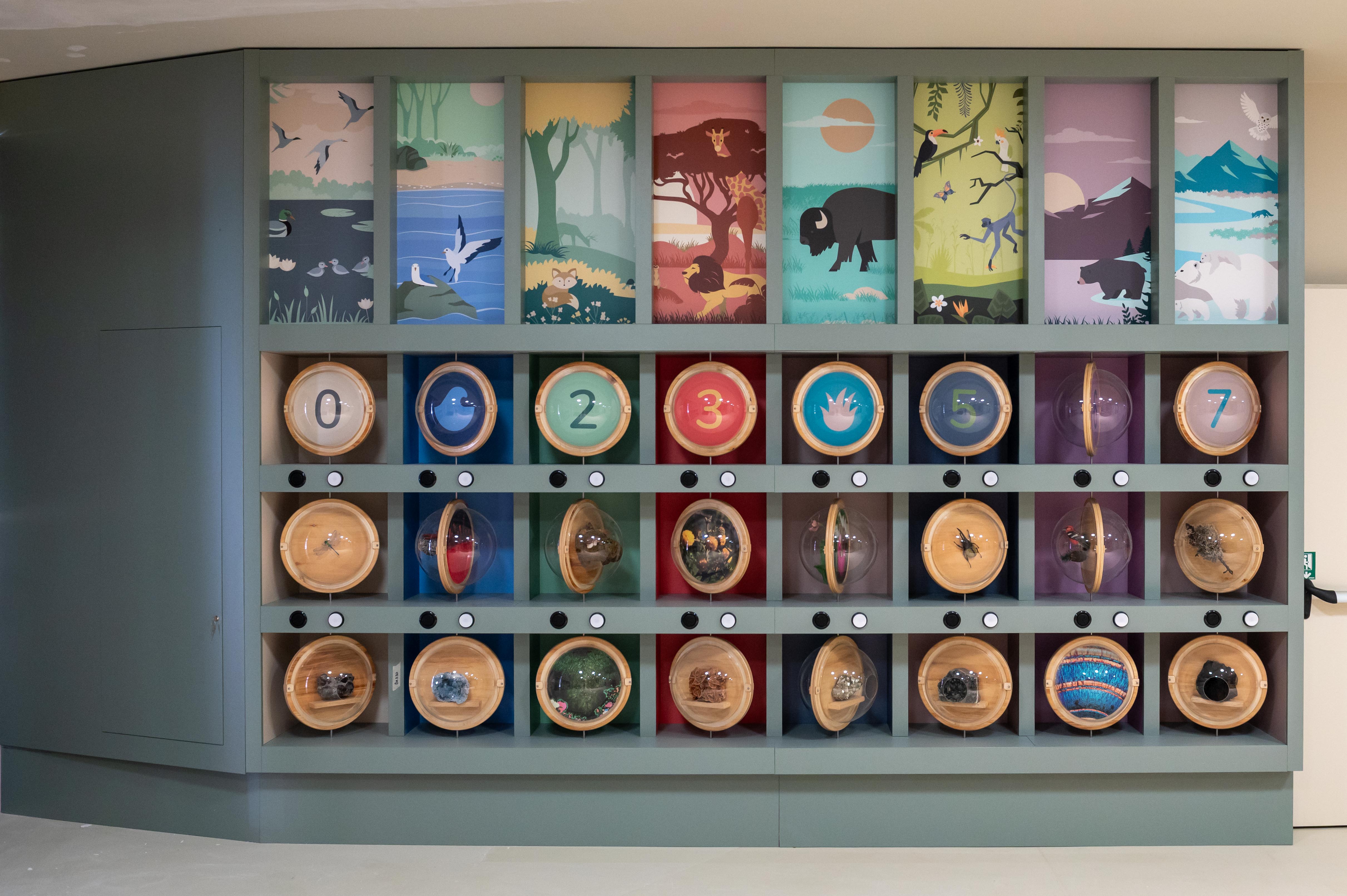 decorazioni interne