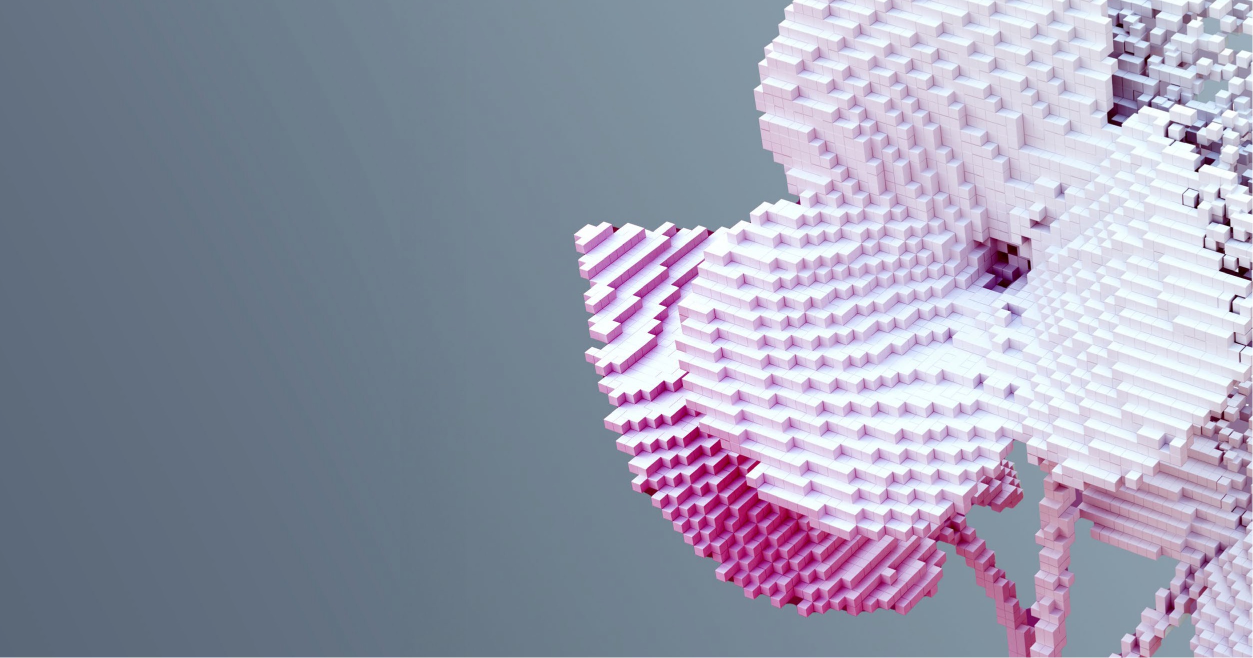 Titolo evento  +immagine di un fiore nel lato destro