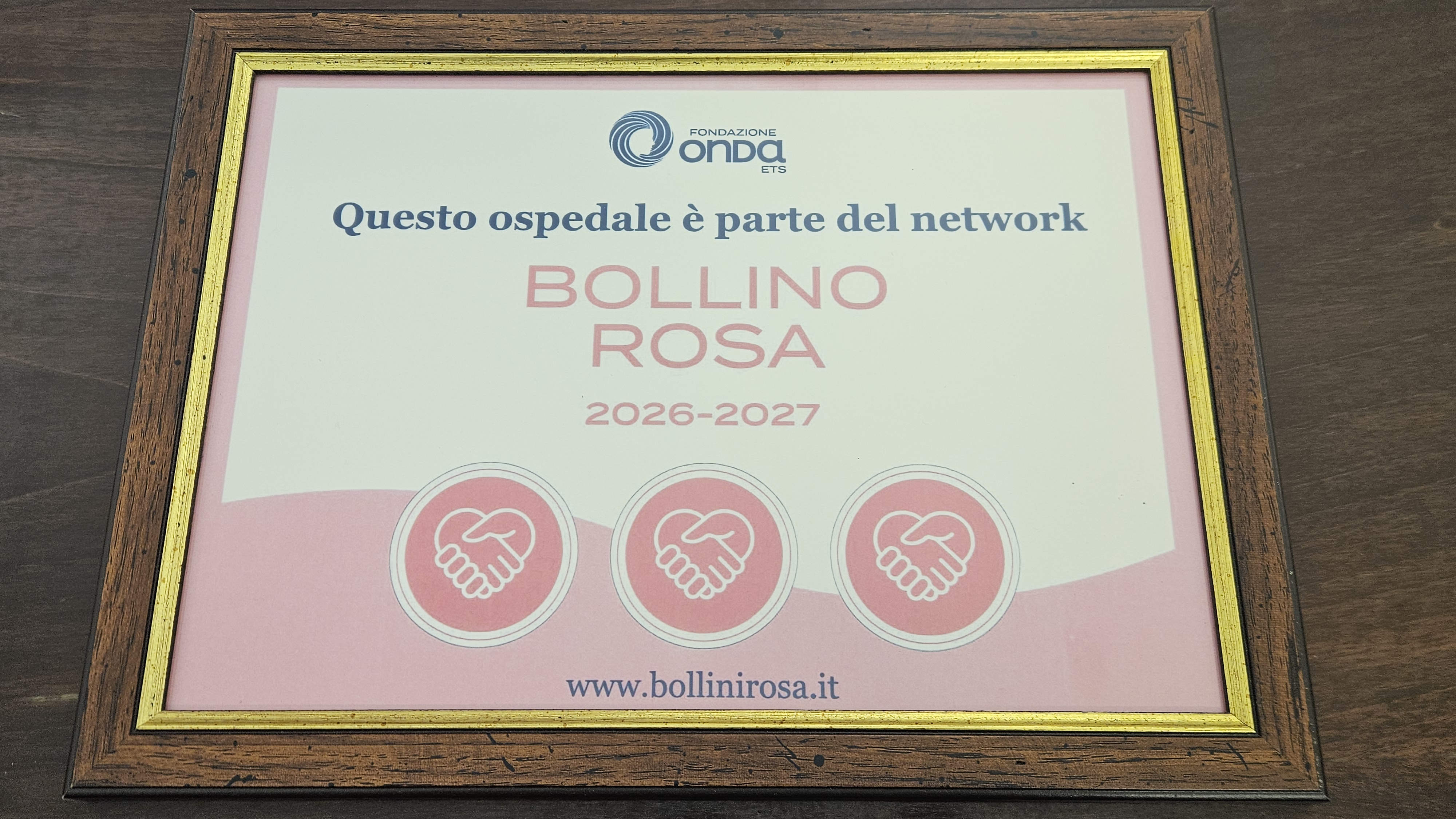 bollini rosa