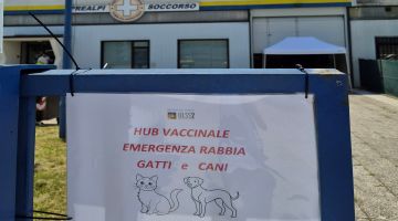 hub vaccinale rabbia