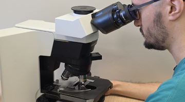 Laboratorio Ematologia