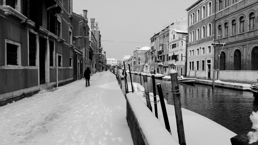 Foto vincitrice di Gennaio Solitudini_veneziane__Venezia__Laura_Daveggia_gennaio.jpg